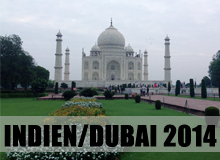 Indien och Förenade Arabemiraten 2014